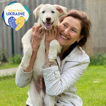 a woman holding a dog a woman holding a dog