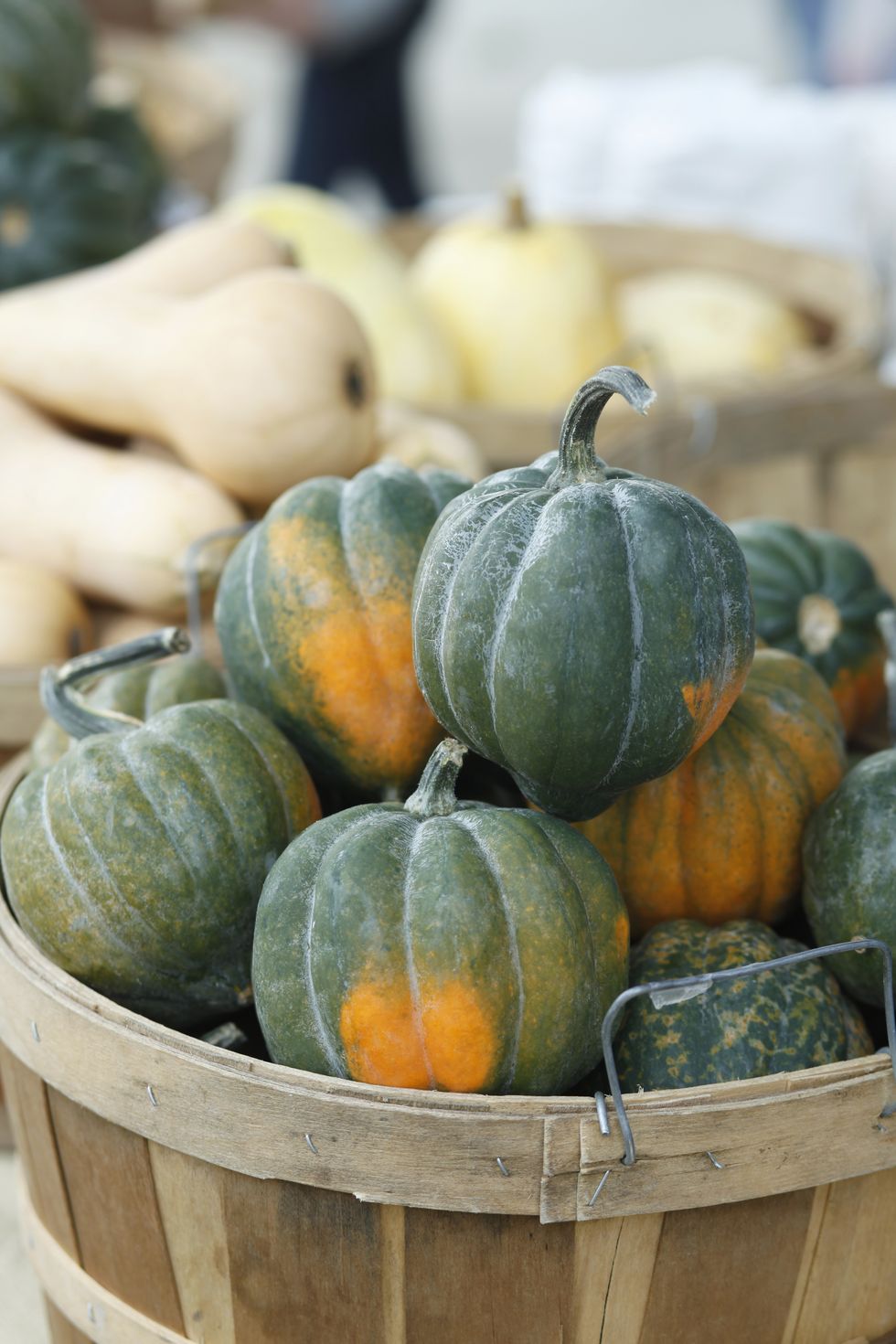 25 Best Fall Fruits and Vegetables - The Best Autumn Produce