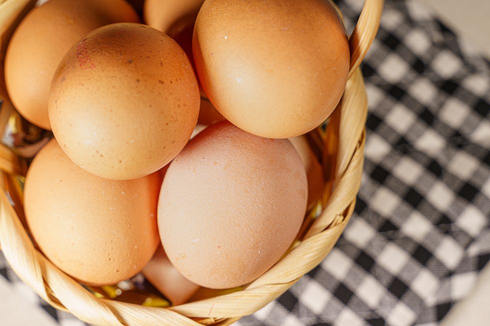 basket full of eggs, concept of financial risks