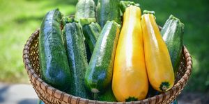 how to freeze summer squash