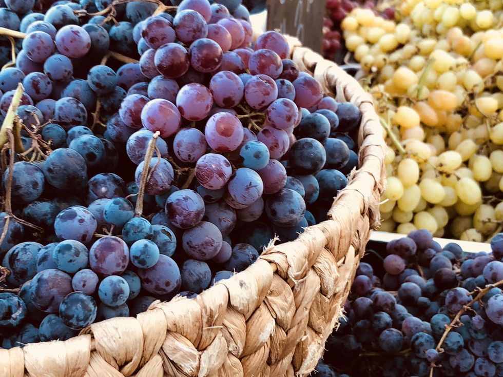 basket of grapes