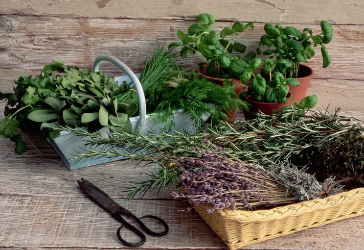 The Health Benefits of Herbs Go Beyond Maxing Out the Flavor of Your Meals