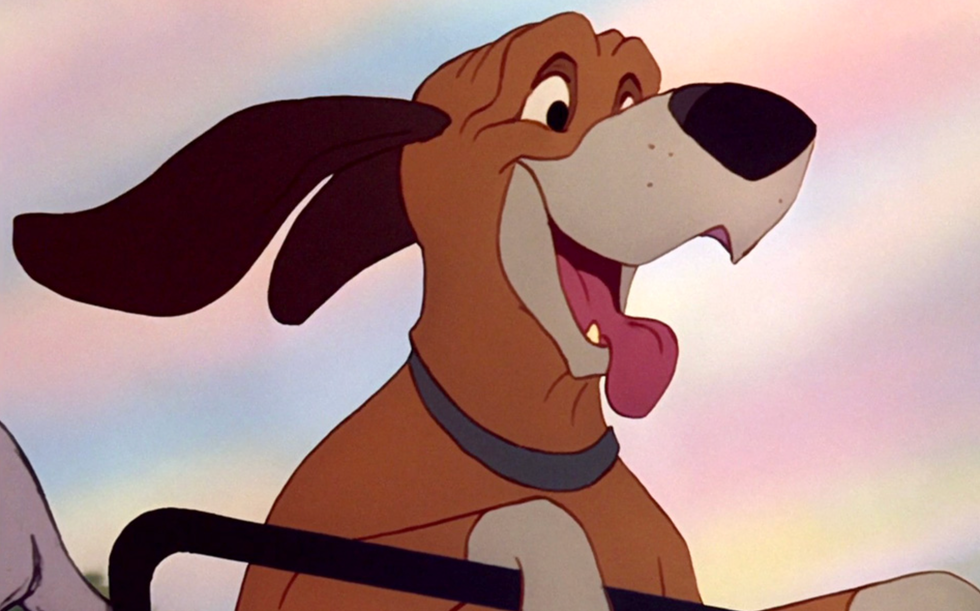 basset hound dog names