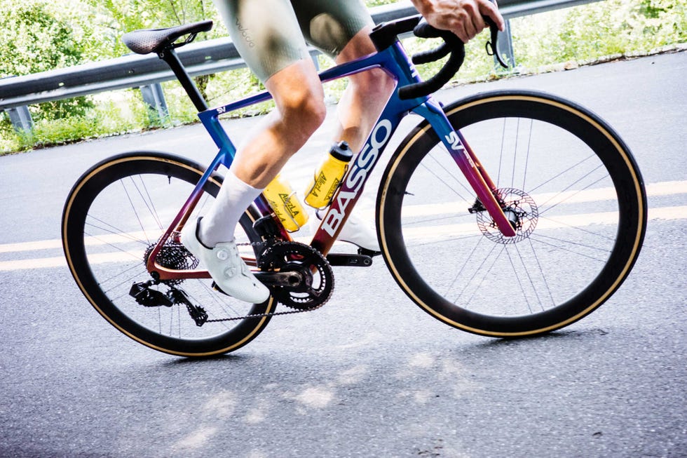 basso sv