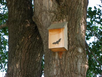 bat house