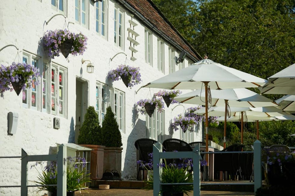 a row of white buildings with umbrellas and plants