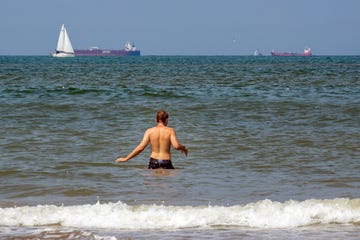 man zwemt in de noordzee