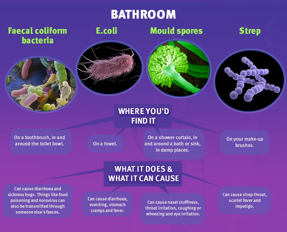 Bathroom Germs - Mattress Online