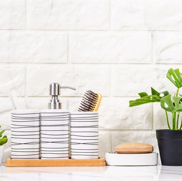 bathroom organization ideas bathroom holders and two succulent plants on a countertop