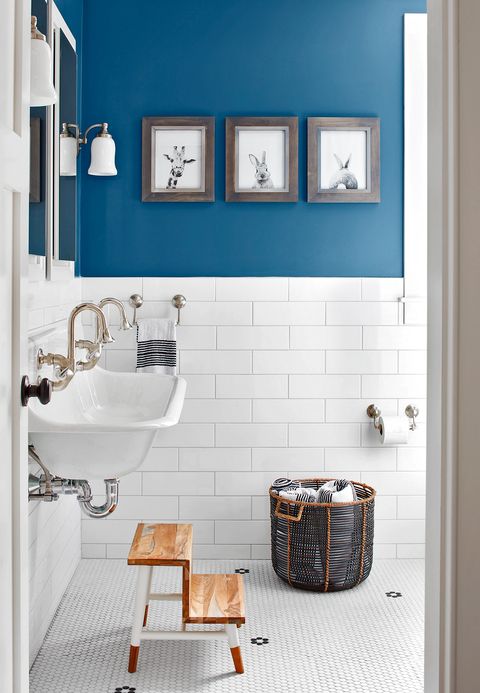 bathroom paint colors, blue and white bathroom with animal photos and a basket
