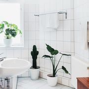 bathroom towel racks best 2019