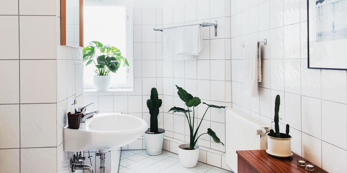 11 Towel Rack Ideas For Your Bathroom