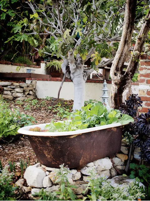 vintage bathtub garden planter