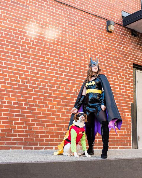 batman robin dog owner halloween costumes