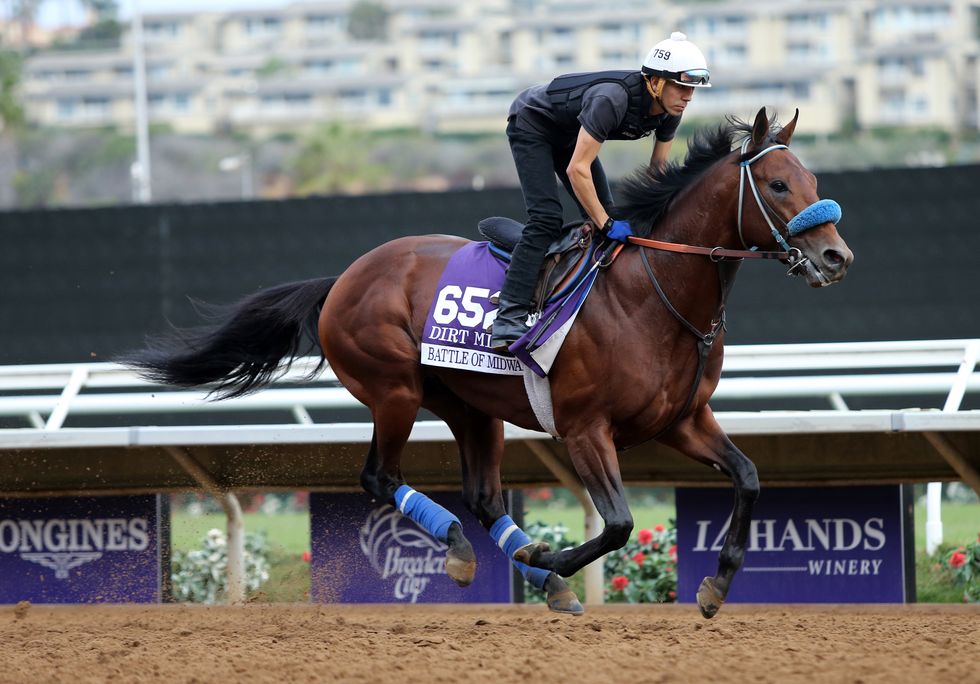 2017 Breeders' Cup World Championships at Del Mar-Previews