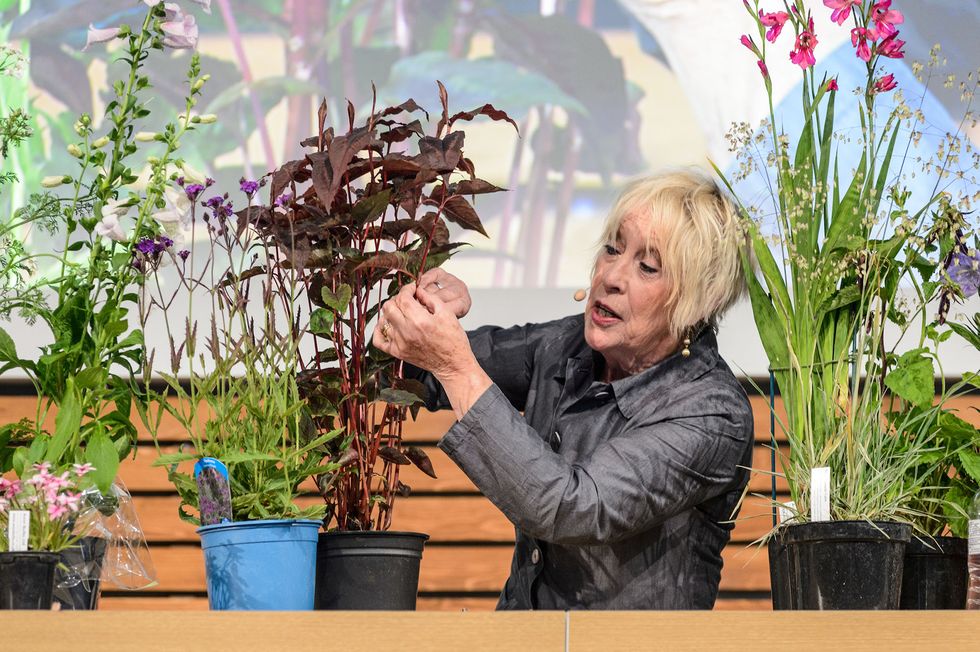 bbc gardeners world live 2019 carol klein on the bbc gardeners world live theatre stage