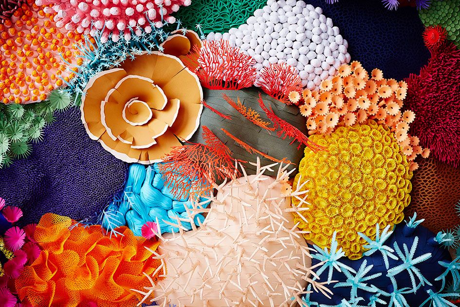 多彩的珊瑚礁紙雕