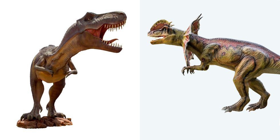 Dinosaur, Tyrannosaurus, Extinction, Animal figure, Velociraptor, Pachycephalosaurus, Troodon, 3d modeling, Fictional character, Claw, 