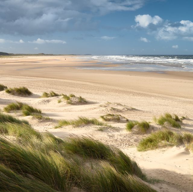 The Beach Check App allows you to find the best beaches for weekend walks