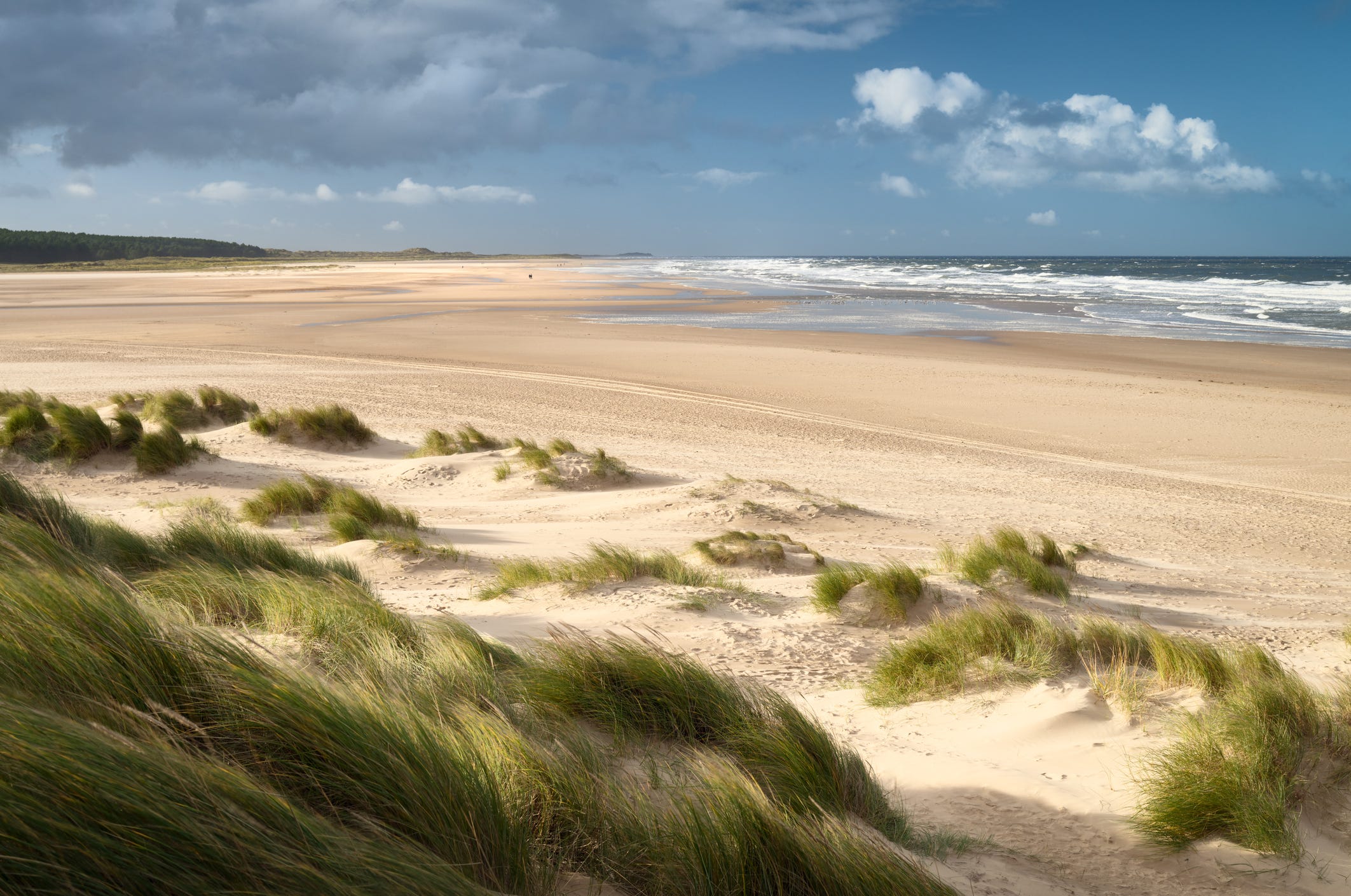 what beaches allow dogs in thanet