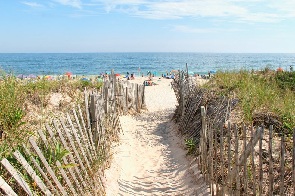 beach entrance on the dunes