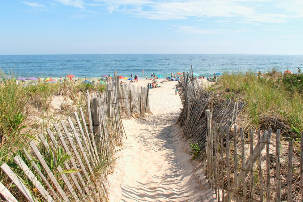 Beach entrance on the dunes beach entrance on the dunes