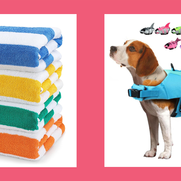 beach towels and dog life jacket