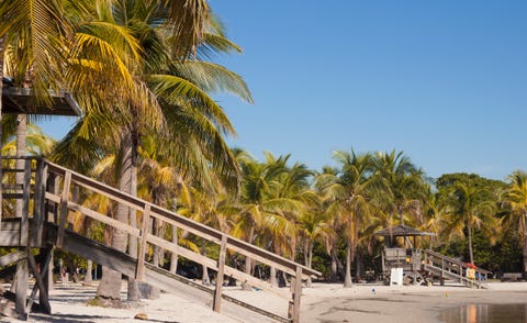 15 Best Beaches in Miami - Most Popular Beaches in Miami