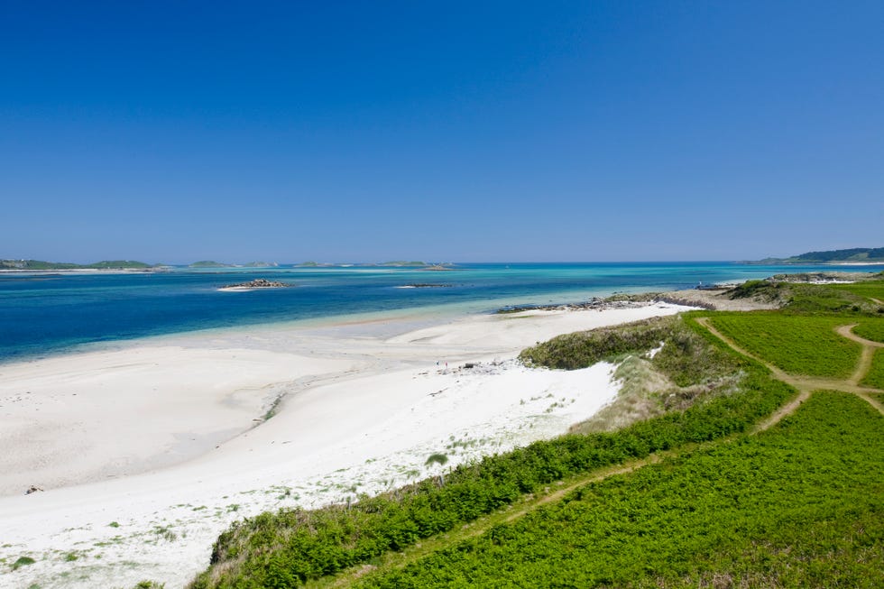 beach on the island of tresco