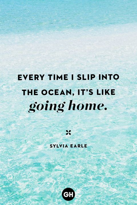 quote about the beach by sylvia earlie