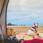 person lounging in beach tent with dog