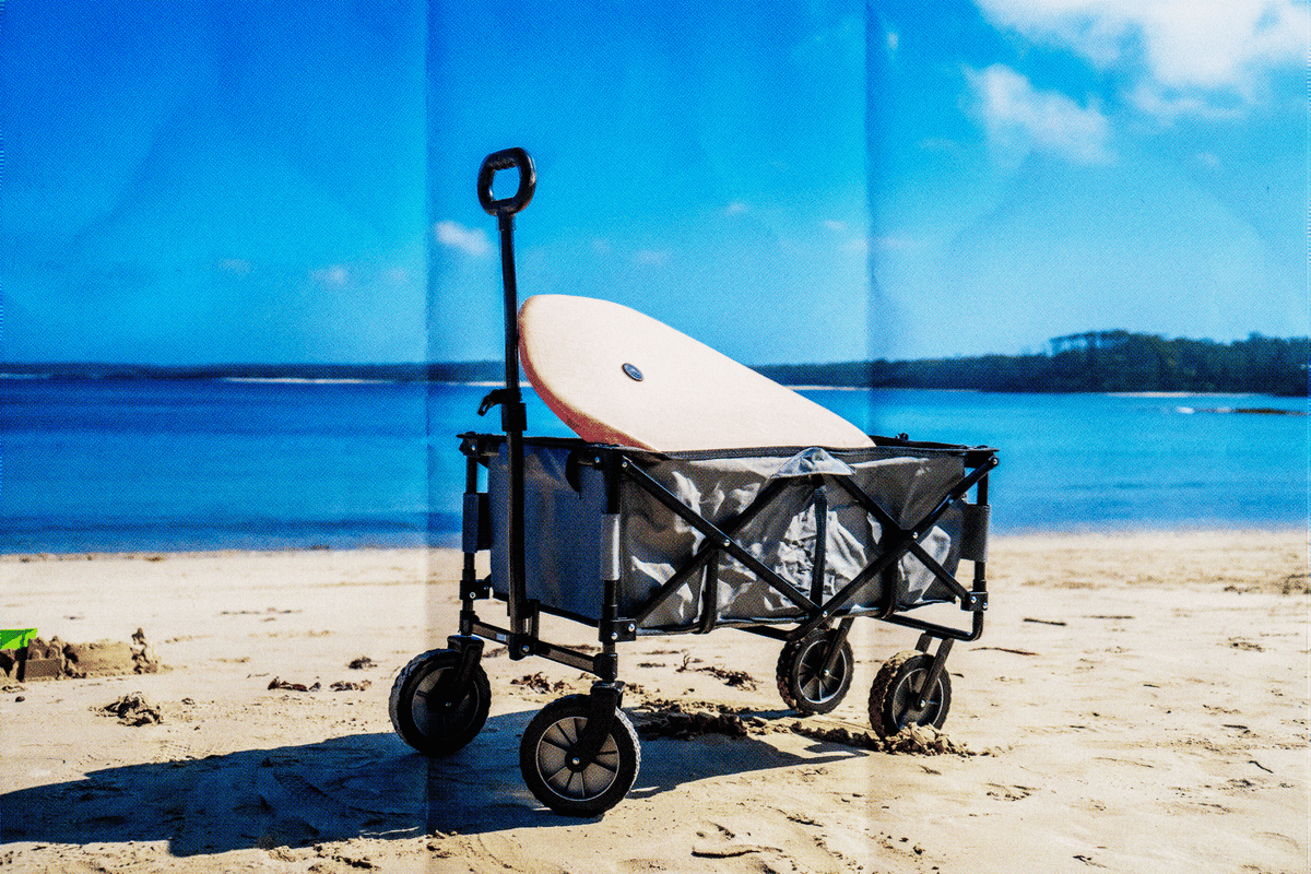 Best beach wagon for kids online