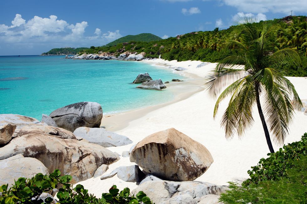 beach with boulders and palm trees in Virgin Gorda, BVI