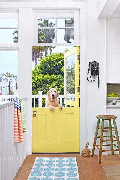 beach house dutch door dog