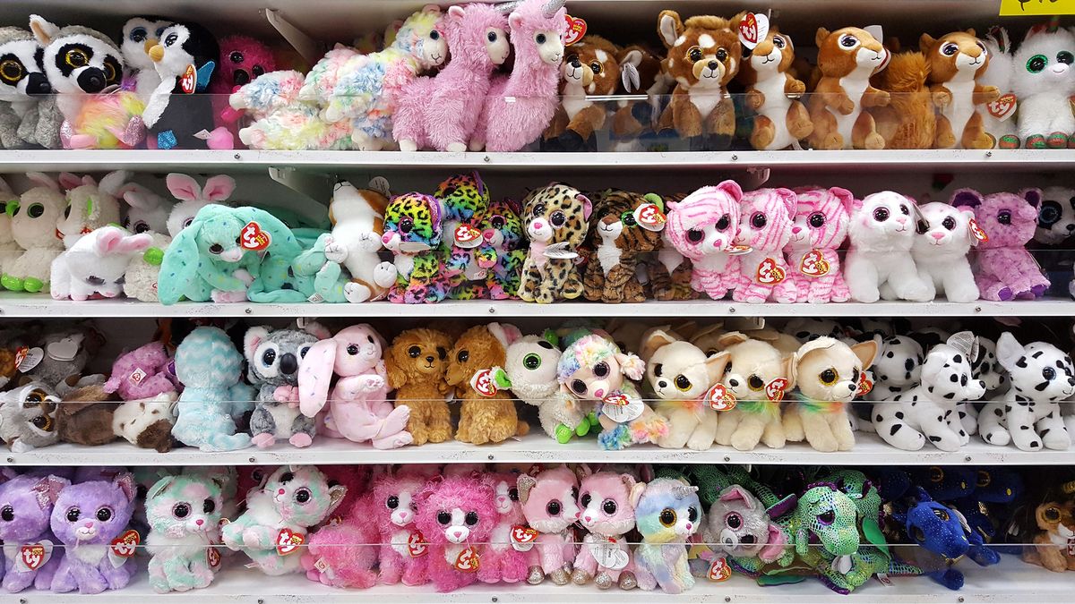 What Beanie Baby Has My Birthday?: Find Your Plush Twin!