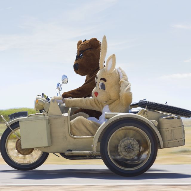 Bear and bunny riding a motorbike