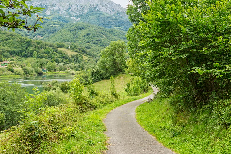 bear cycling route in asturias