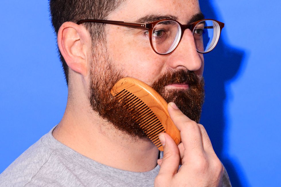 beard grooming kit best 2019