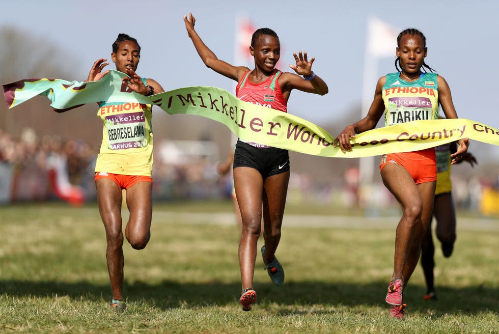 iaaf world cross country championships