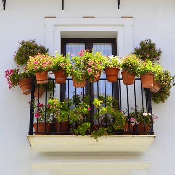 Beautiful balconies with typical flowers in Grazalema in the Sierra de Cadiz