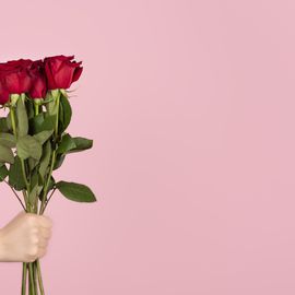 beautiful bouquet of red roses in a woman hand on light pink background