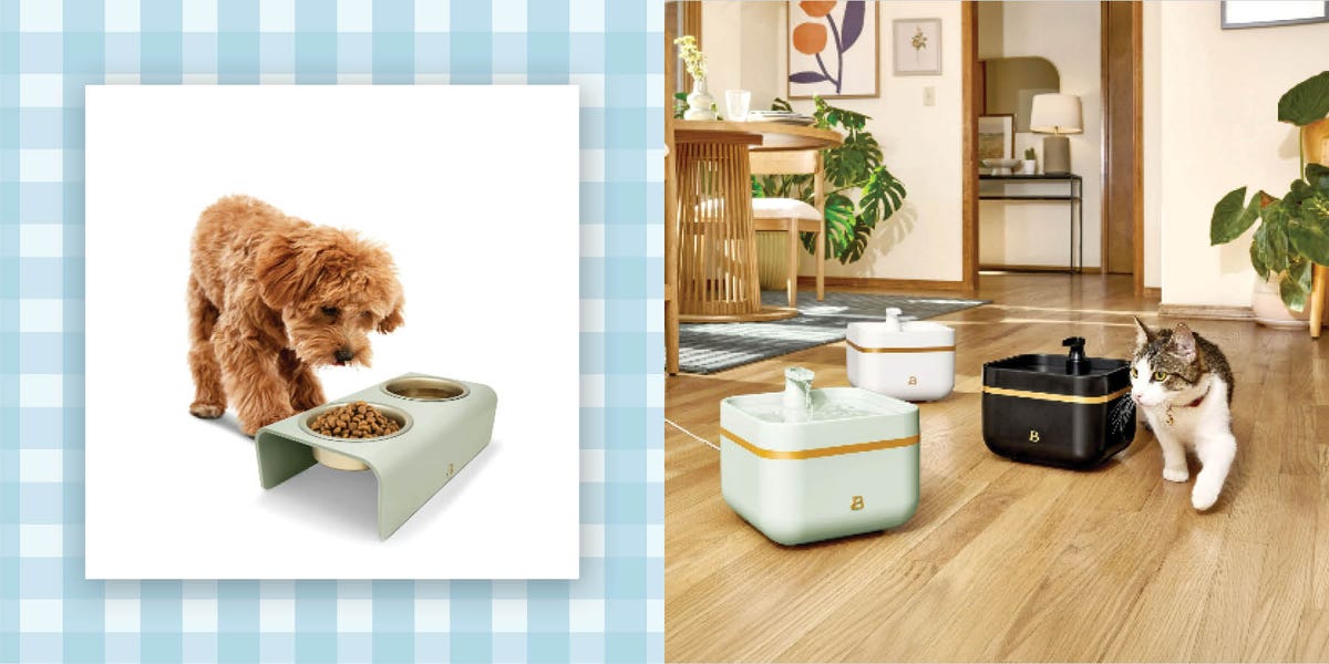 Drew Barrymore Just Added a Pet Collection to Her Walmart Line