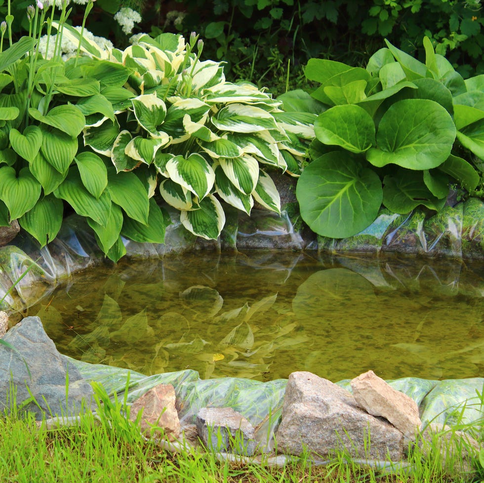 Beautiful decorative pond in the garden. Background. Landscape. beautiful decorative pond in the garden background landscape