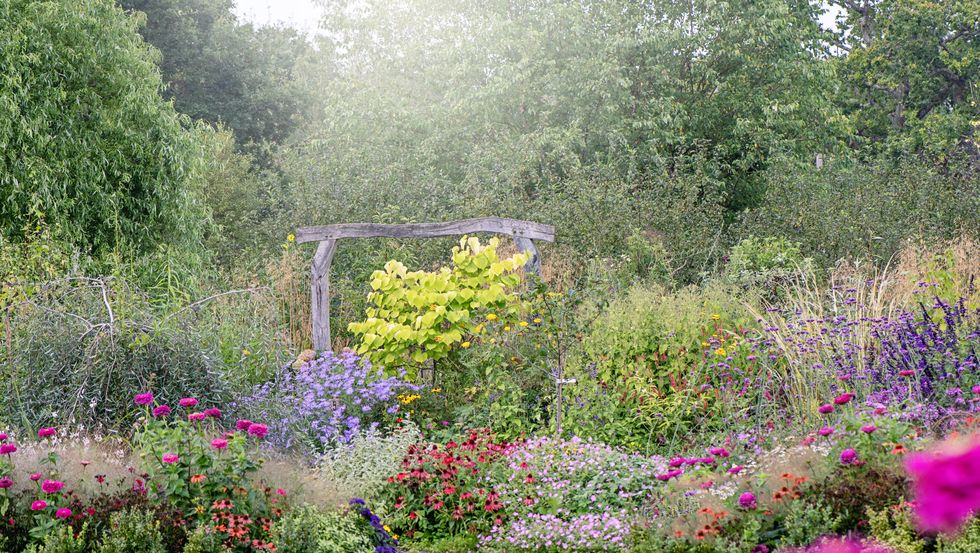 beautiful english cottage garden in soft summer sunshine with a rustic wooden arch garden feature