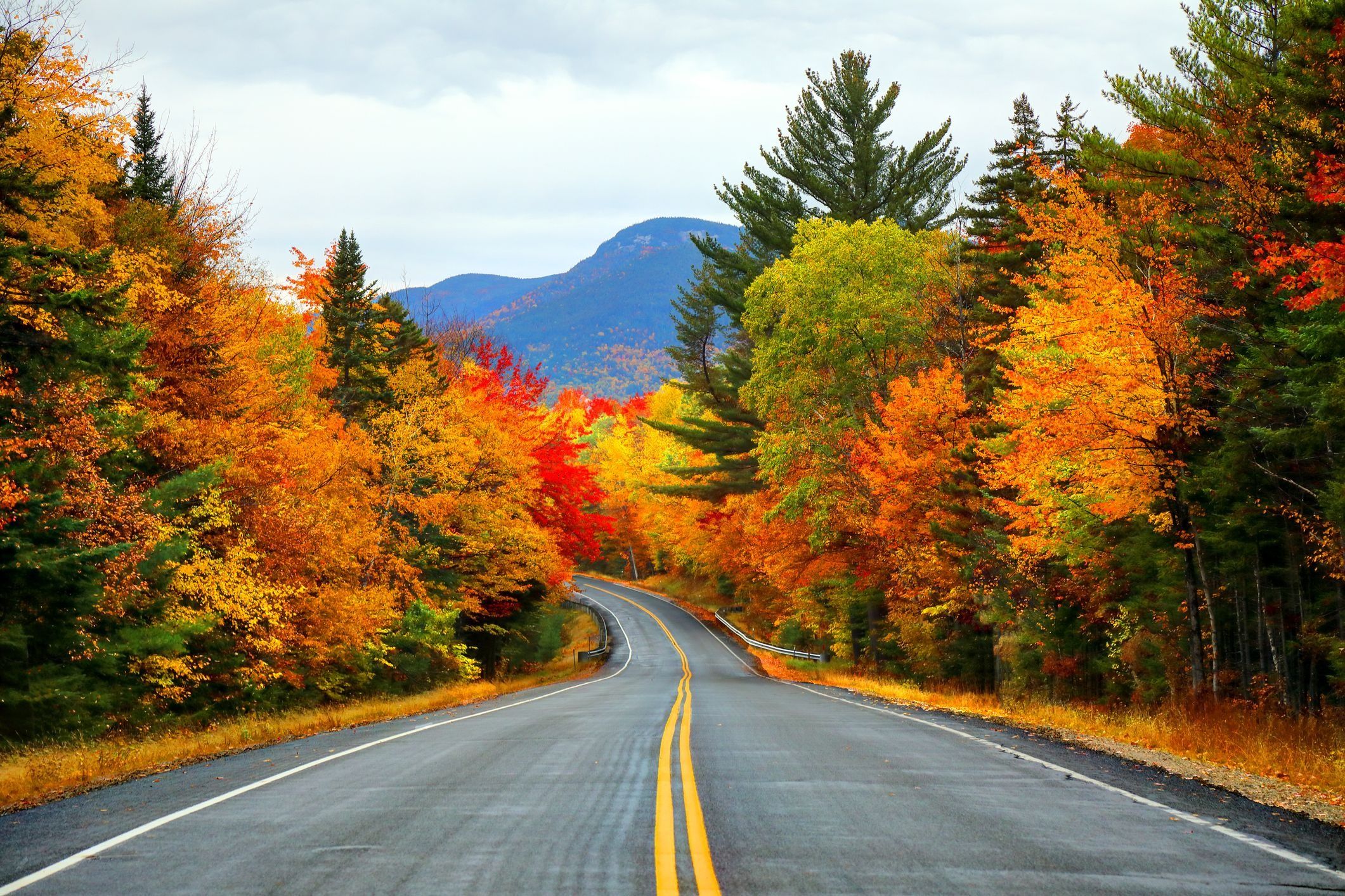 40 Beautiful Fall Foliage Pictures Around the World - Photos of Autumn  Leaves