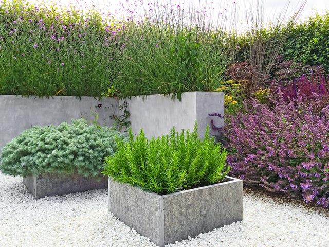 Beautiful garden with concrete planters