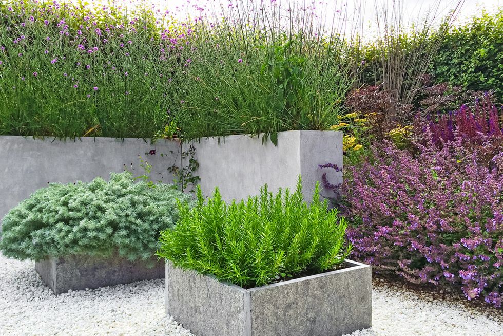 Beautiful garden with concrete planters