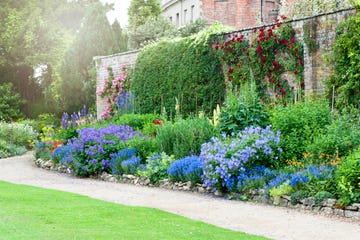 summer herbaceous flower border in garden edging ideas