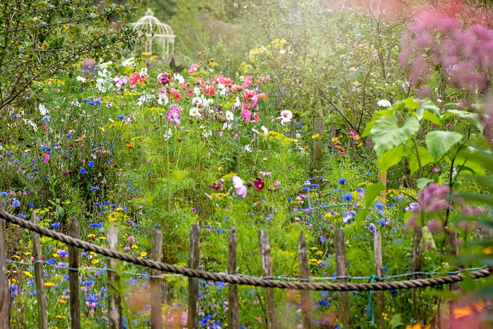 beautiful summer wildflower garden with a roped rustic wooden gate and wrought iron pergola in the background