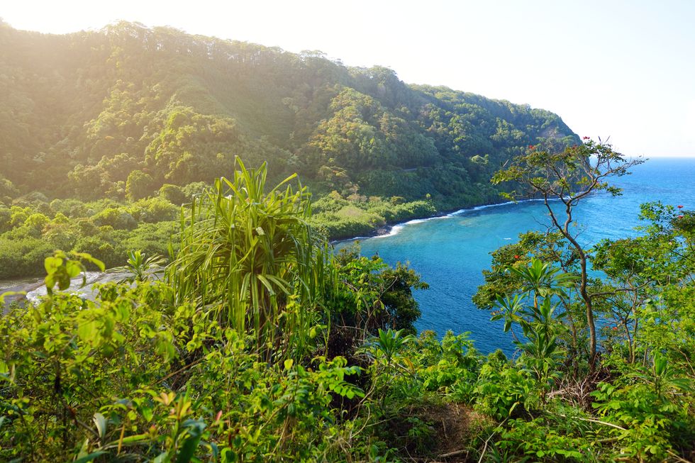 Beautiful views of Maui North coast seen from famous winding Road to Hana